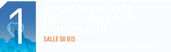 1 - Le scanner coronaire et structurel en pratique - Salle 50 - Thomas Hovasse & Patrick Staat